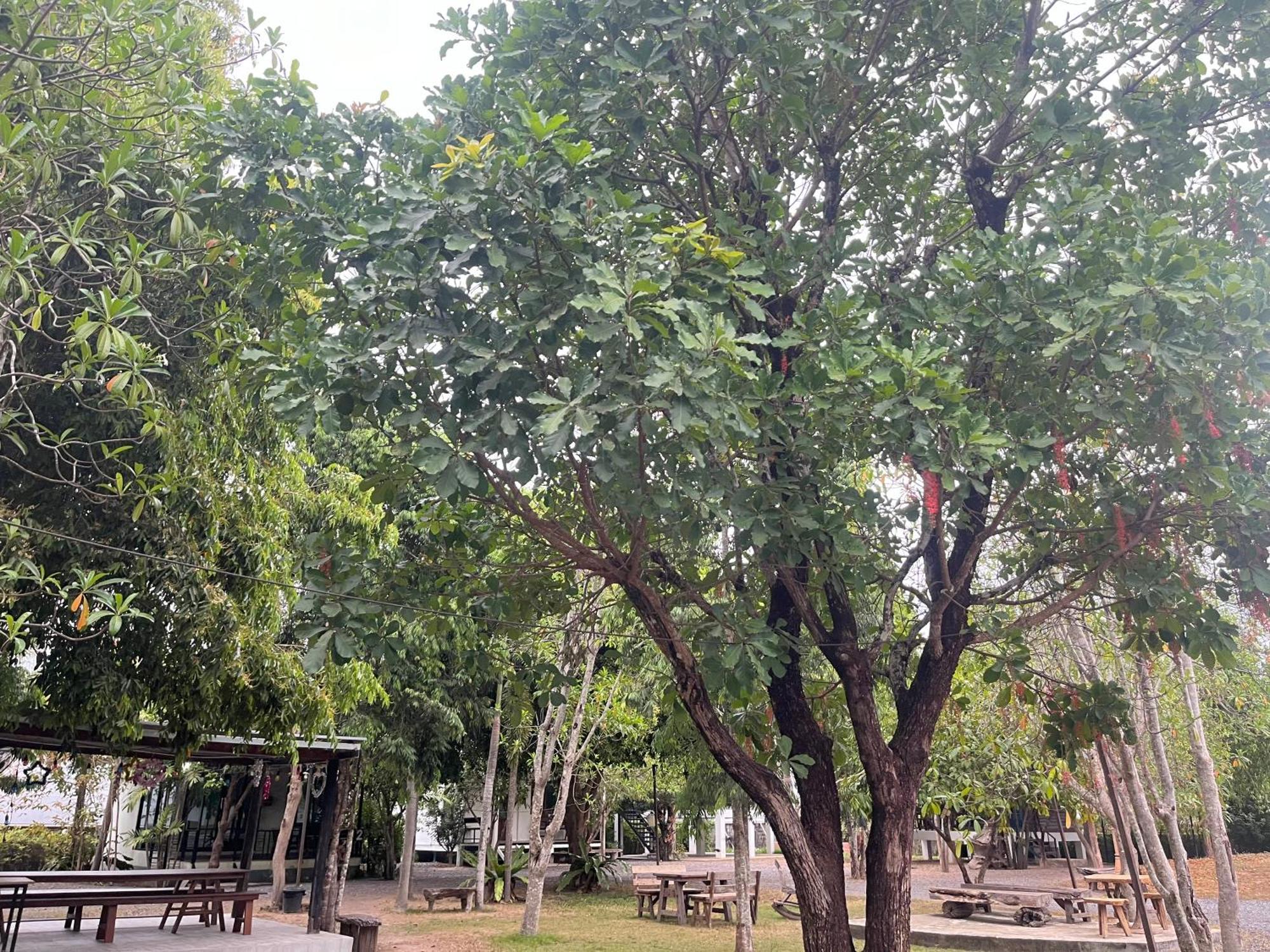 Sangkaset Resort Ban Mong Muang 外观 照片