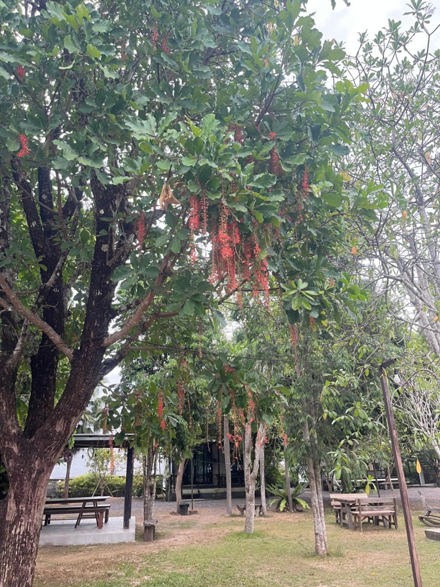 Sangkaset Resort Ban Mong Muang 外观 照片